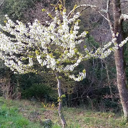 5terre Country Villa Sarzana