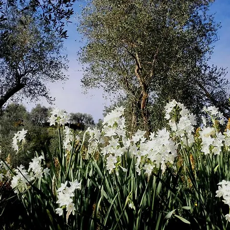 Villa 5terre Country Sarzana